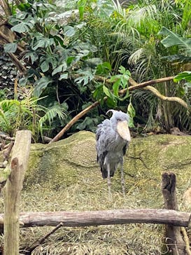 那須どうぶつ王国に投稿された画像（2021/11/22）