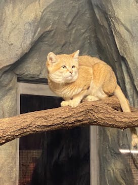 那須どうぶつ王国に投稿された画像（2021/11/22）