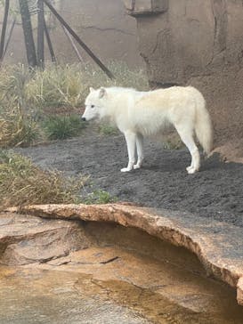 那須どうぶつ王国に投稿された画像（2021/11/22）