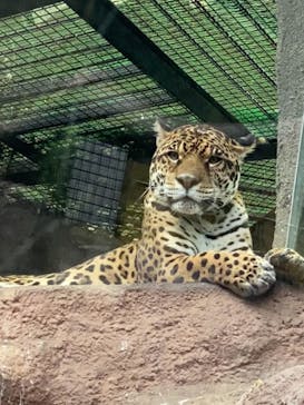 那須どうぶつ王国に投稿された画像（2021/11/22）