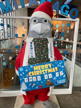 大分マリーンパレス水族館 「うみたまご」に投稿された画像（2021/11/22）