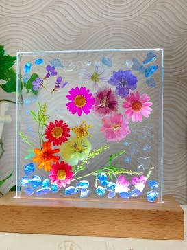 ずこうしつ〜sugamo〜に投稿された画像（2021/11/22）