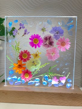 ずこうしつ〜sugamo〜に投稿された画像（2021/11/22）