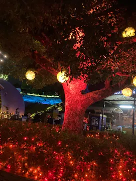 ひらかたパークに投稿された画像（2021/11/22）