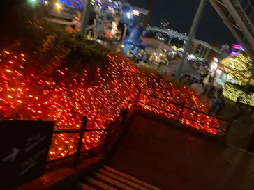 ひらかたパークに投稿された画像（2021/11/22）