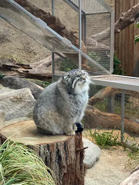 神戸どうぶつ王国に投稿された画像（2021/11/22）