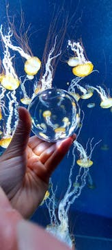 新江ノ島水族館に投稿された画像（2021/11/23）