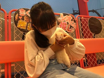 原宿かわいい動物園に投稿された画像（2021/11/23）