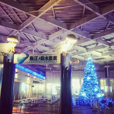 新江ノ島水族館に投稿された画像（2021/11/23）