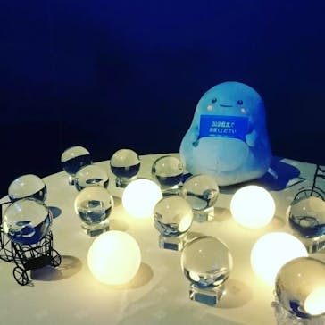 新江ノ島水族館に投稿された画像（2021/11/23）