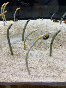 すみだ水族館に投稿された画像（2021/11/23）