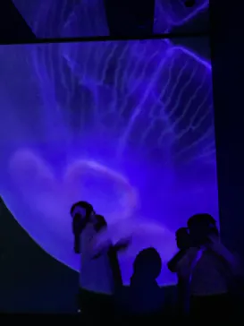 すみだ水族館に投稿された画像（2021/11/23）