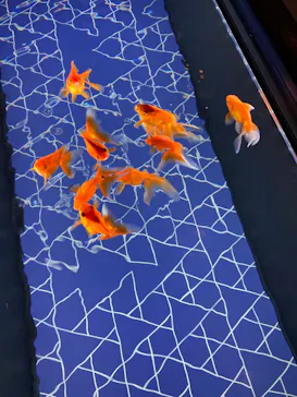 すみだ水族館に投稿された画像（2021/11/23）