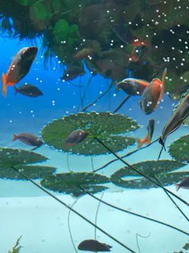 すみだ水族館に投稿された画像（2021/11/23）