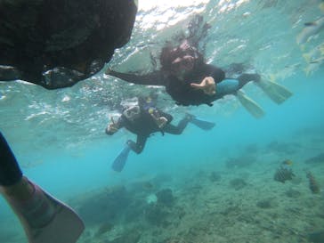 武藤潜水に投稿された画像（2021/11/23）