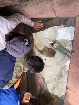 天王寺動物園に投稿された画像（2021/11/23）
