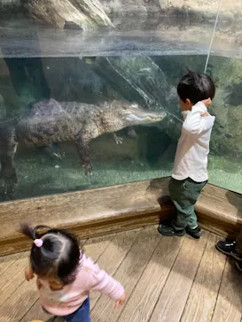 天王寺動物園に投稿された画像（2021/11/23）