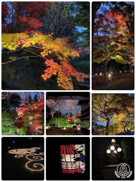 江戸東京たてもの園に投稿された画像（2021/11/23）