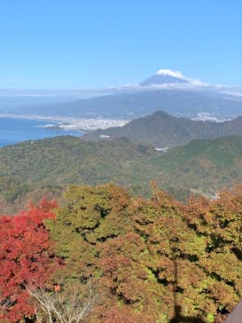 伊豆パノラマパークに投稿された画像（2021/11/23）