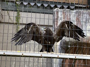 天王寺動物園に投稿された画像（2021/11/23）