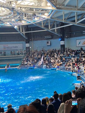 マクセル アクアパーク品川に投稿された画像（2021/11/23）