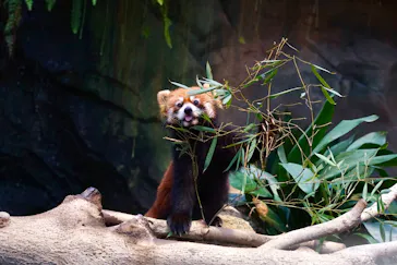 神戸どうぶつ王国に投稿された画像（2021/11/23）