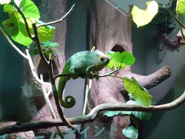 カワスイ 川崎⽔族館に投稿された画像（2021/11/23）