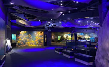 新江ノ島水族館に投稿された画像（2021/11/23）