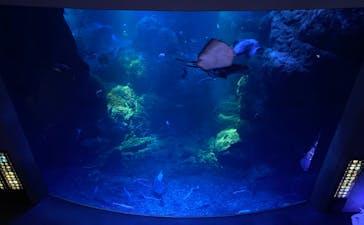 新江ノ島水族館に投稿された画像（2021/11/23）