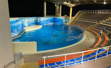 新江ノ島水族館に投稿された画像（2021/11/23）
