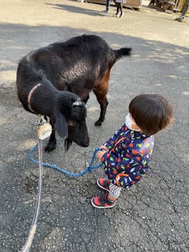 まかいの牧場に投稿された画像（2021/11/23）