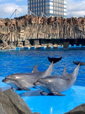 名古屋港水族館に投稿された画像（2021/11/23）