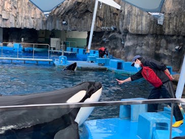 名古屋港水族館に投稿された画像（2021/11/23）