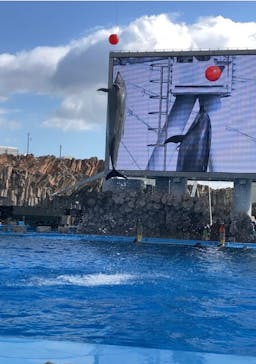 名古屋港水族館に投稿された画像（2021/11/23）