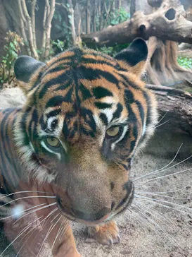 神戸どうぶつ王国に投稿された画像（2021/11/23）