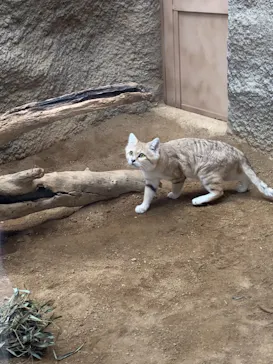 神戸どうぶつ王国に投稿された画像（2021/11/23）