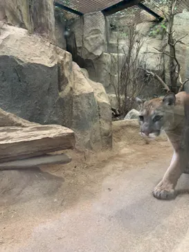 神戸どうぶつ王国に投稿された画像（2021/11/23）