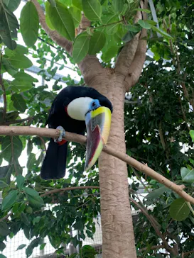 神戸どうぶつ王国に投稿された画像（2021/11/23）