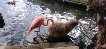 横浜・八景島シーパラダイスに投稿された画像（2021/11/23）