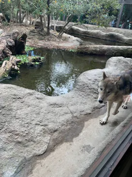 神戸どうぶつ王国に投稿された画像（2021/11/23）