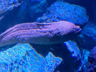 すみだ水族館に投稿された画像（2021/11/23）