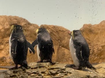 マクセル アクアパーク品川に投稿された画像（2021/11/23）