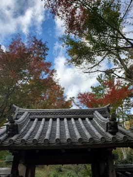 三溪園に投稿された画像（2021/11/23）