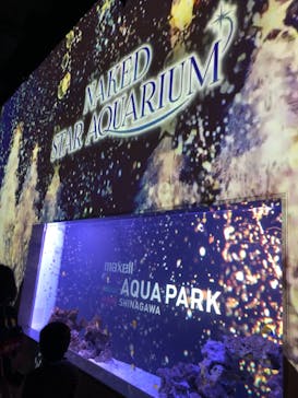 マクセル アクアパーク品川に投稿された画像（2021/11/23）