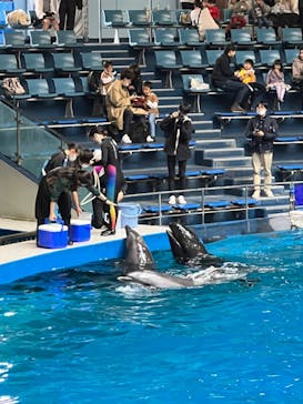 マクセル アクアパーク品川に投稿された画像（2021/11/23）