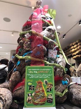 京都水族館に投稿された画像（2021/11/23）