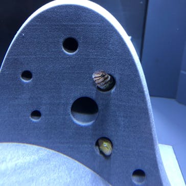 京都水族館に投稿された画像（2021/11/23）