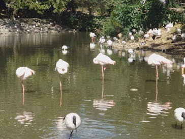 ネオパークオキナワに投稿された画像（2021/11/23）