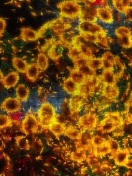 森ビル デジタルアート ミュージアム：エプソン チームラボボーダレスに投稿された画像（2021/11/23）