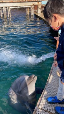 南知多ビーチランド＆南知多おもちゃ王国に投稿された画像（2021/11/23）